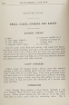 visit page 404
