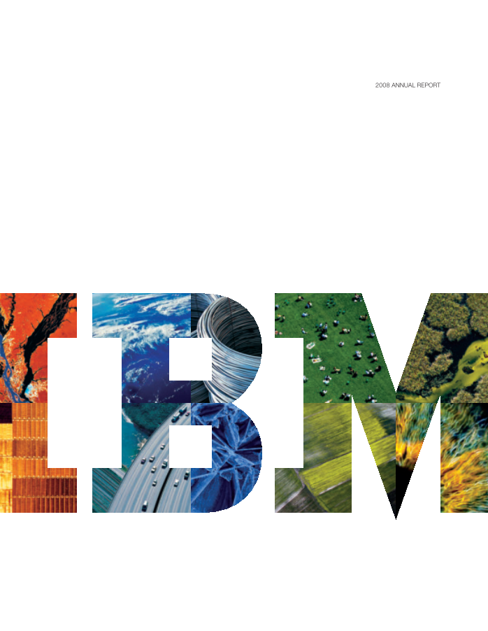 IBM 2008 Annual Report